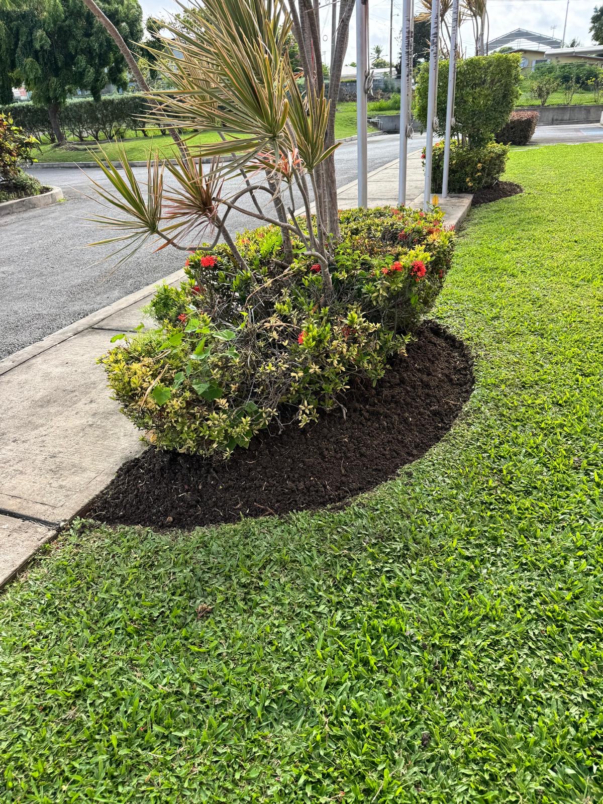Completed landscaping project